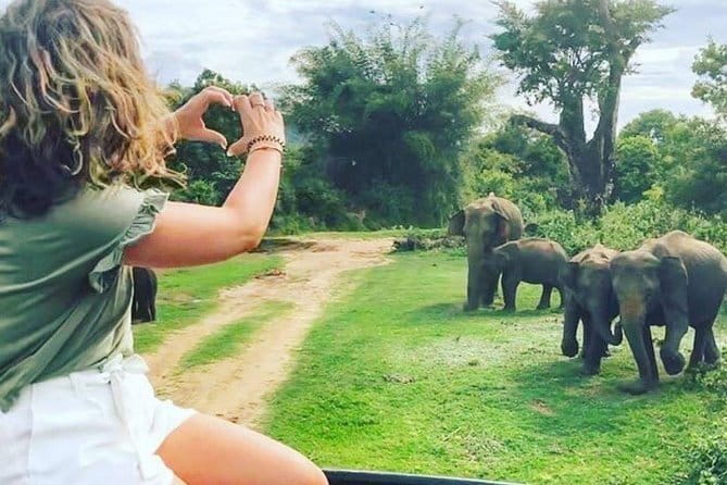 03 Days Highlights Of Sigiriya,Kandy,Nuwara Eliya ,Ella & Udawalawe - Day three: Ella views, waterfalls, and the elephant safari