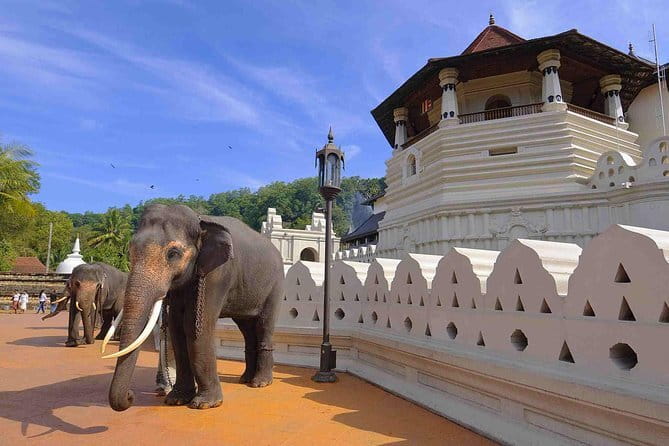 04 Days Tour - Sigiriya , Kandy and Nuwara Eliya - Day 2: Kandy’s sacred tooth and lake views