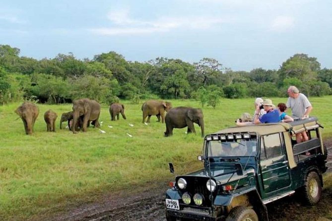 08 Nights in Magical Sri Lanka - Kandy deserves attention on Day 5