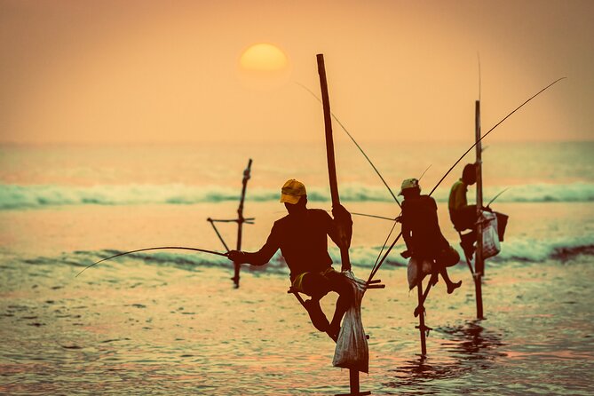09 Days in Sri lanka - Major Attractions - Day 6: Yala National Park and the road to Mirissa
