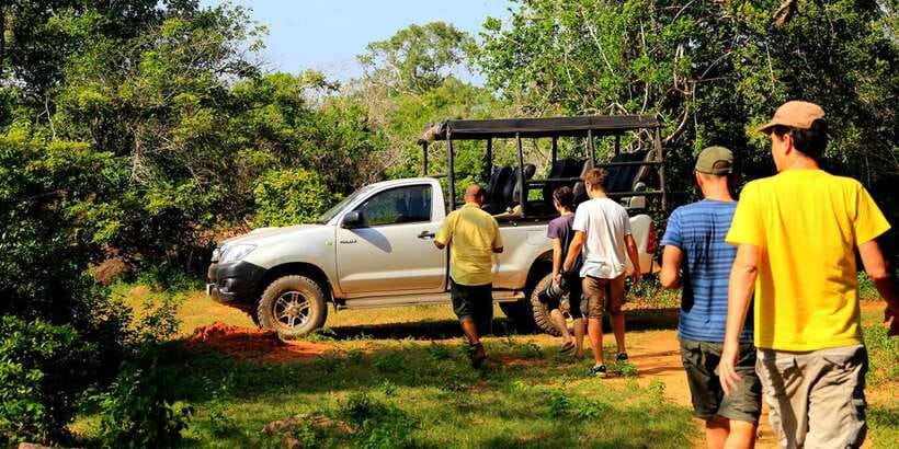 1-Day Tour of Both Yala and Udawalawe National Parks - Yala at Sunrise: Forest, Scrub, and Lagoons