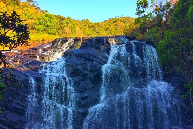 10 Day Explore Sri Lanka - Day 4: Dambulla and Kandy after dark