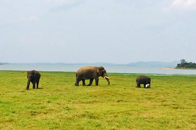 10 Day Explore Sri Lanka - Day 6: Horton Plains and the famous train ride