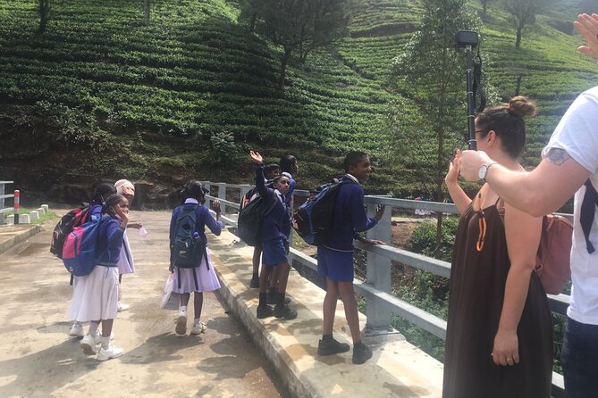 10-Day Sri Lanka Escape – Culture, Wildlife & 3 stars Hotels - Why the private format matters on this route