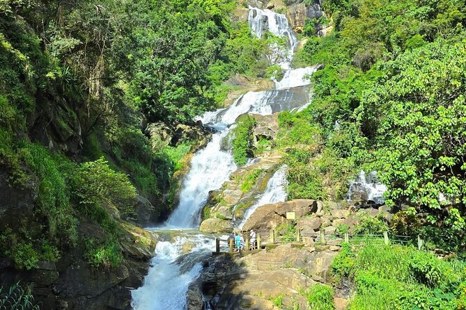 10 Days PrivateTour in Sri Lanka - Island Essence - Day 3: Polonnaruwa ruins and a national park safari