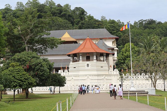 12-Day Private Guided Tour in Sri Lanka - Sigiriya and Dambulla, Sri Lanka’s famous cultural pair