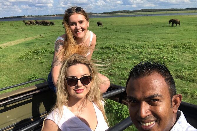 12 Days Sri Lanka Island Adventure and Wild Tour - Why the private format matters on a long island route