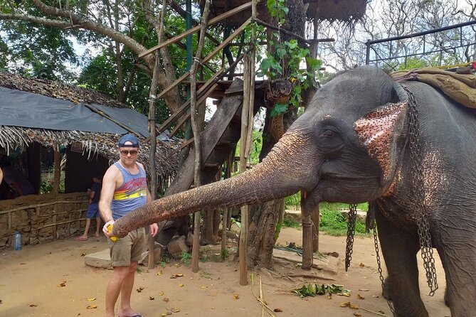 12 Days Sri Lanka Island Adventure and Wild Tour - Days 5 and 6: tea country, Nuwara Eliya, and Horton Plains
