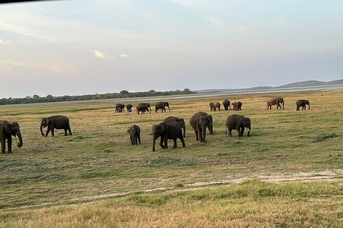 12 Days Tour Grand Discovery of Sri Lanka - A strong route from Negombo to Colombo
