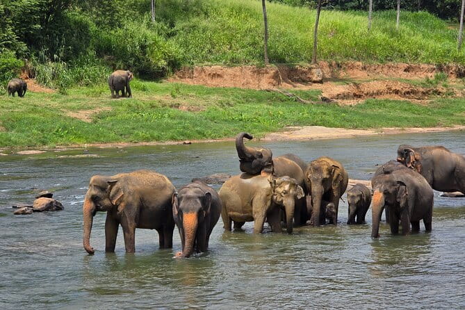 12 Days Tour Grand Discovery of Sri Lanka - Day 1: Colombo, Negombo Lagoon, and a gentle start