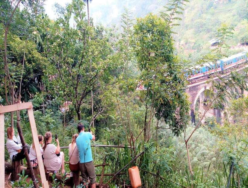 14 Days Tour Package Sri Lanka - Day 7: Sinharaja Rainforest and the Move to Unawatuna