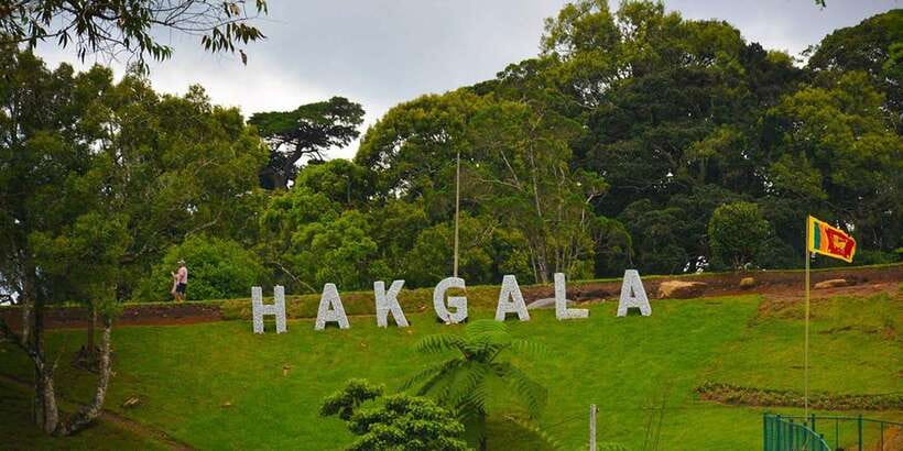 2 Day Tour From Kandy, Sigiriya & Nuwara Eliya - Should you book the Kandy to Sigiriya and Nuwara Eliya tour?