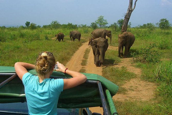 2 Days Tour to Galle & Udawalawe National Park - Why this two-day combination works