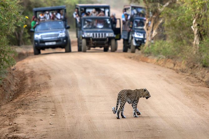 2 Days Tour to Galle & Udawalawe National Park - The overnight gap you should clarify before booking