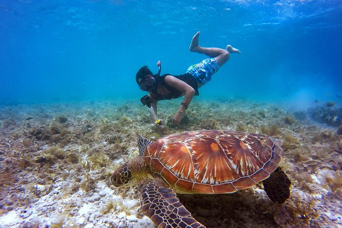 2 hours Private Snorkeling tour in Unawatuna - Key details before you book