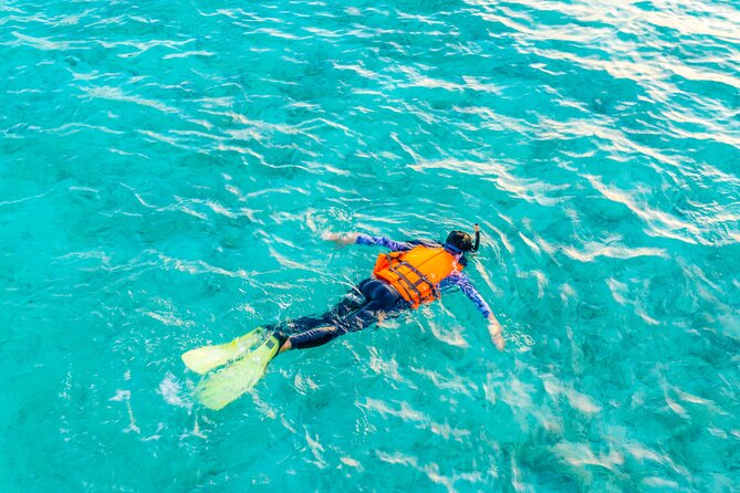 2 hours Private Snorkeling tour in Unawatuna - What the crew does well