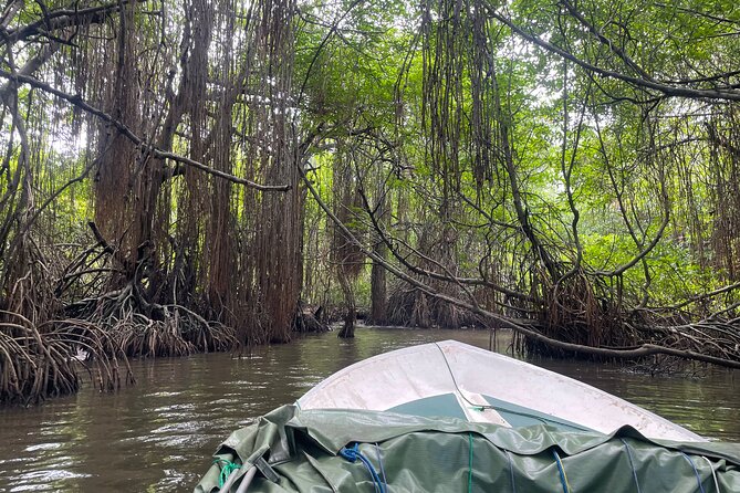 2h Bentota River Safari from Hotels in Ahungalla/Bentota/Induruwa - Wildlife you may spot from the boat