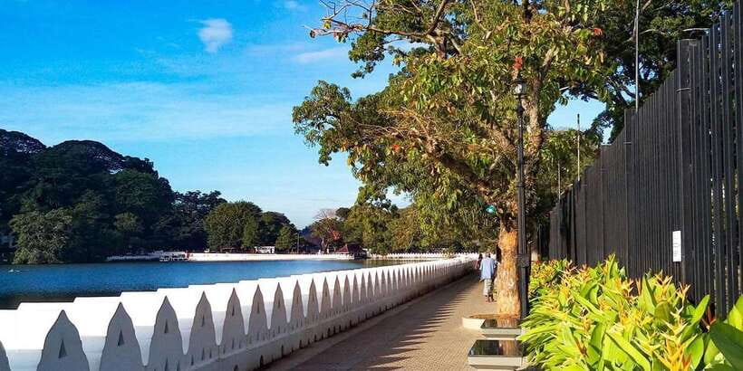3 Day Tour From Kandy, Sigiriya , Nuwara Eliya , Kandy - What the $59 price really covers