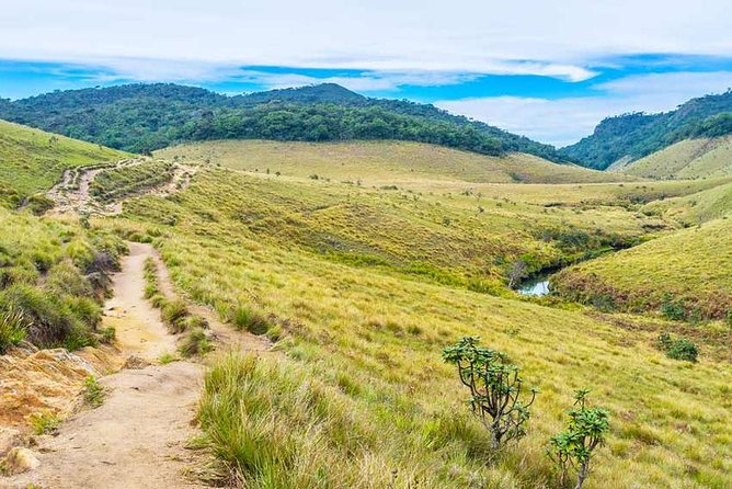 3 Days Nature and Chill Tour of Ella, Nuwara Eliya and Haputale - Day Three: Ella’s classic sights and short hill walks