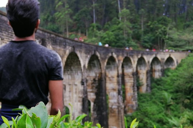 3 Days Nature and Chill Tour of Ella, Nuwara Eliya and Haputale - Who will enjoy this three-day tour