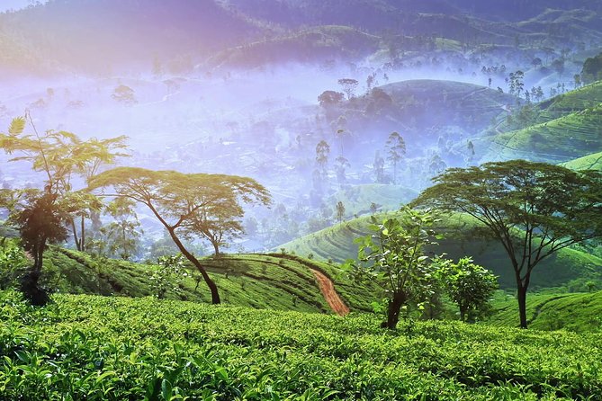 3 Days Nature and Chill Tour of Ella, Nuwara Eliya and Haputale - Day One: Ramboda Waterfall and the cool hills of Nuwara Eliya