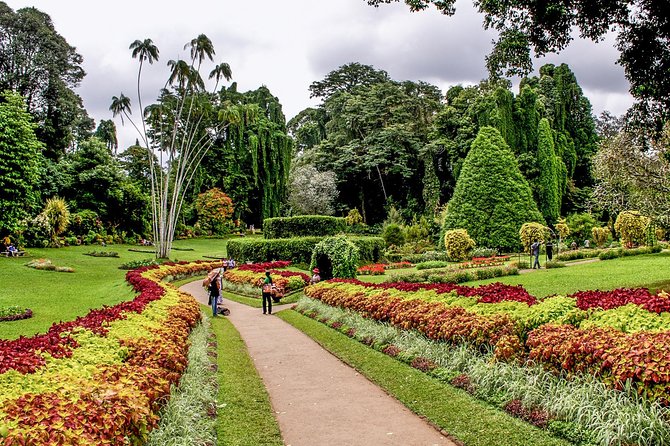 3 Days Tour to Kandy, Nuwara Eliya & Sigiriya - Day two: tea country, gardens, and the cool hills