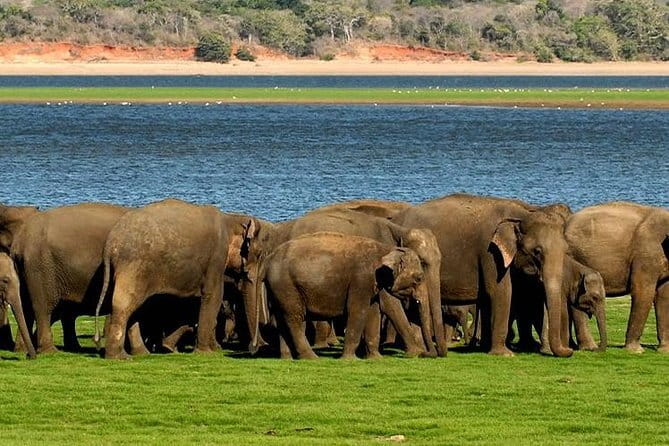 3 Days Tour to Kandy Nuwara Eliya & Sigiriya from Colombo - Who should book this private Sri Lanka trip?