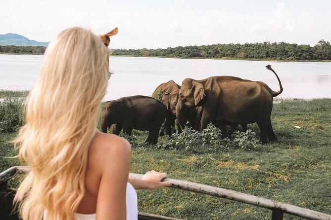 3 Days Tour to Sigiriya & Kandy with Kingfisher Tours Sri Lanka - Why this three-day route works