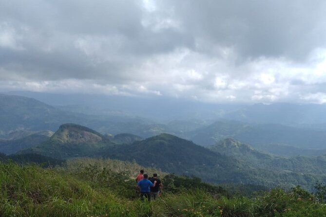 3 Days Tour to Sigiriya,Nuwaraeliya to Ella from Kandy - Who will get the most from this trip
