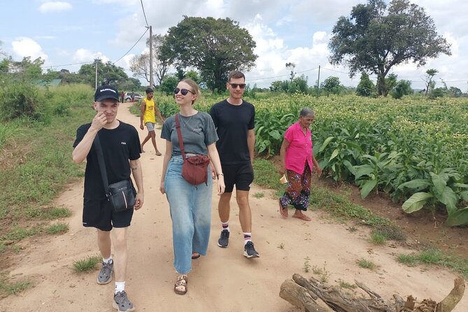 4 Days Amaizing Classic Mini Tour Sri Lanka - Key points before you book