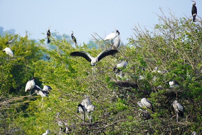 4 Hours Private Yala Safari Day Tour - Reaching Yala from Bentota