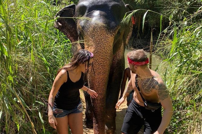 5 Days Tour in Sri Lanka (Hotels with Breakfast & Luxury Car) - What $400 buys you in Sri Lanka