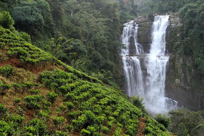 6 Days Nature And Culture Tour - Key points to know before booking