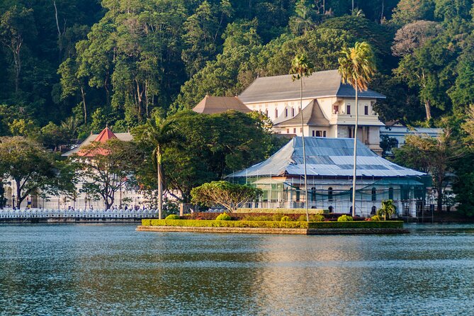 6 Days Private Vehicle with English Speaking Chauffeur - Day 2: Gregory Lake, tea country, and Nuwara Eliya