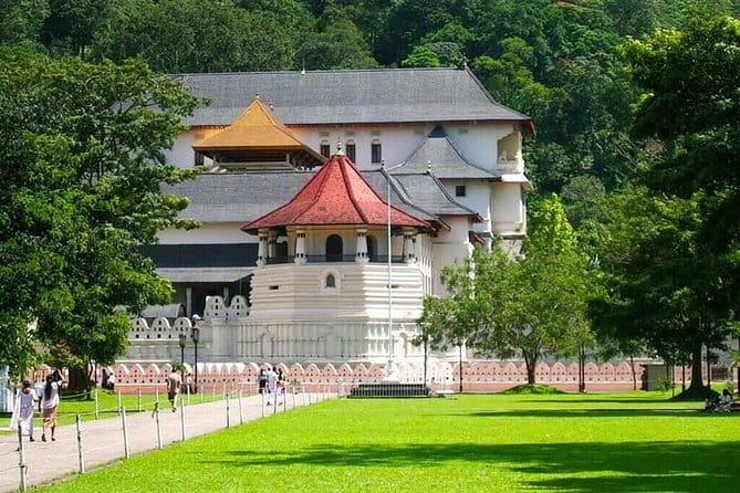 7 Days Private Guided Tour in Sri Lanka - Day three: Kandy’s sacred temple and tea country