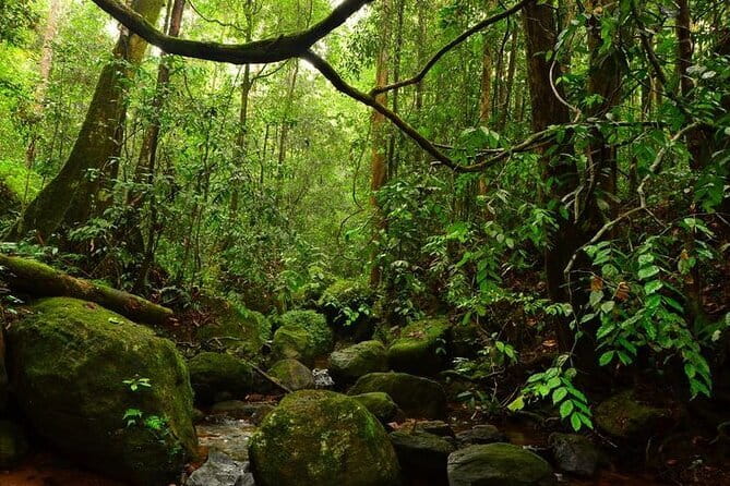 7 Days Private Guided Tour in Sri Lanka - Day four: Ella’s bridges, falls, and easy mountain views