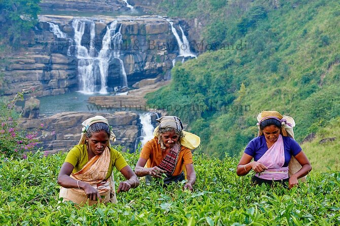7 Days Ramayana Trails Tour in Sri Lanka - Key points to know before booking