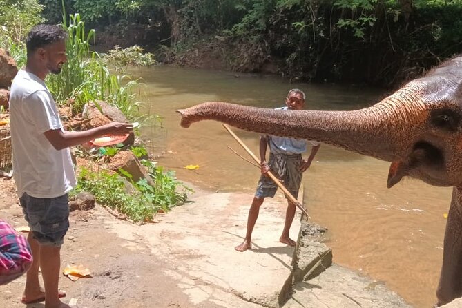 7 days Sri Lanka | 4 star hotels with BB | Private tour - A seven-day route with real variety
