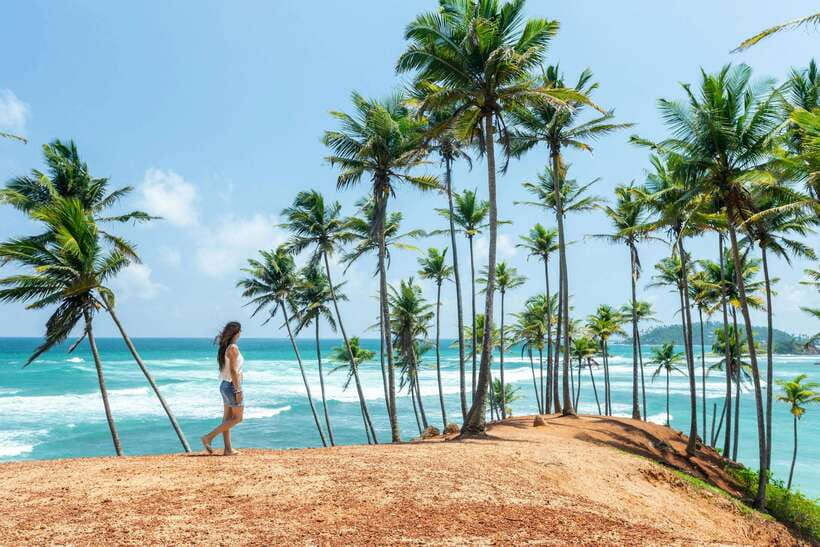 8-Day Sri Lanka Private Round Tour Hotels, Meals, Car, Guide - Key points before you book