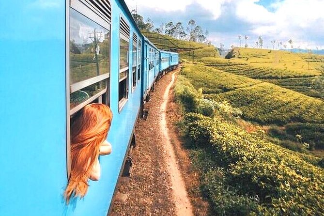 8 Days Guided Cultural Small Group Tour of Sri Lanka - Day 5: The Kandy to Nanu Oya train