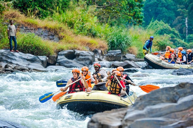 A Day Excursion to Kithulgala Rafting - Key points at a glance