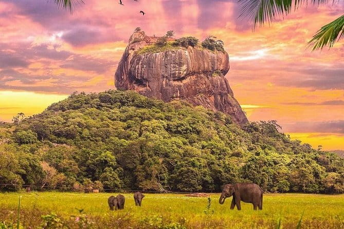 A Full Day Sigiriya and Dambulla Private Tour - Who will enjoy this tour most