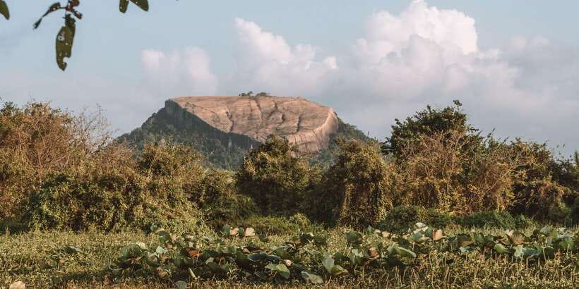 A Hidden Gem in Sigiriya: Magical Boat Journey. - The best views of Sigiriya and Pidurangala
