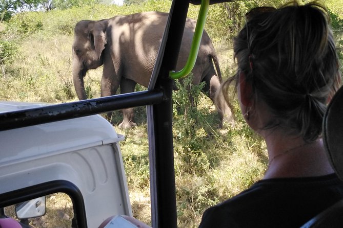 A Udawalawa Park safari, Tour from Colombo/Galle- (All inclusive) - Key points to know before booking