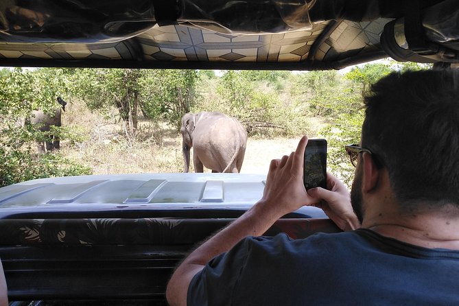 A Udawalawa Park safari, Tour from Colombo/Galle- (All inclusive) - What the three-hour safari feels like