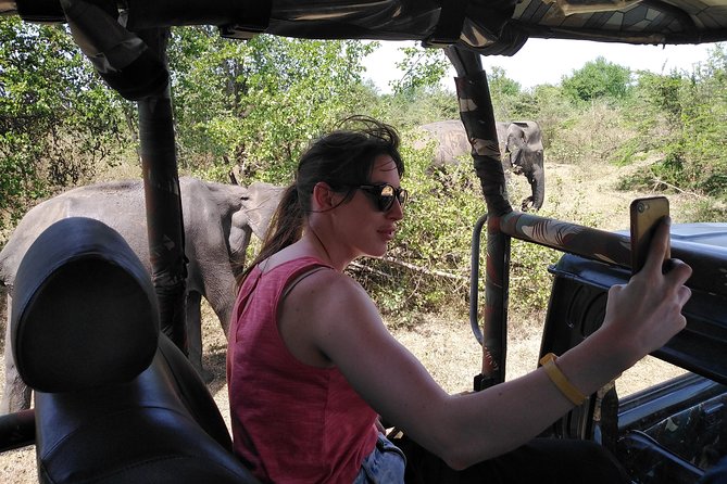 A Udawalawa Park safari, Tour from Colombo/Galle- (All inclusive) - Who should choose this day trip?