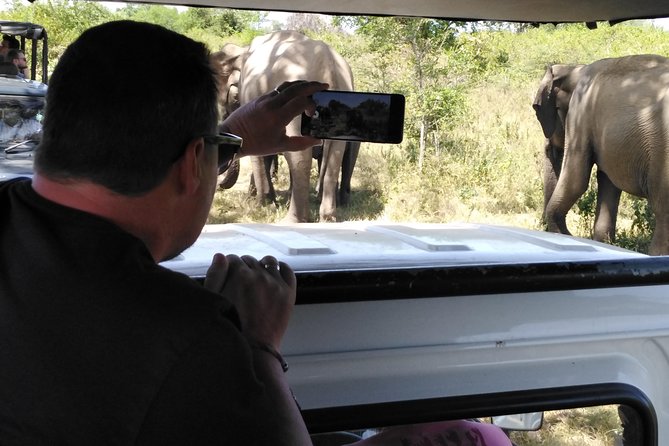 A Udawalawa Park safari, Tour from Colombo/Galle- (All inclusive) - The early start from Colombo or Galle