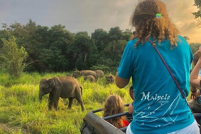 Adventure safari Experience in Hurulu Eco Park, Sri Lanka - Choosing Between Hurulu, Kaudulla, and Minneriya