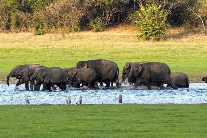 Adventure safari Experience in Hurulu Eco Park, Sri Lanka - Getting Value From the $50 Price