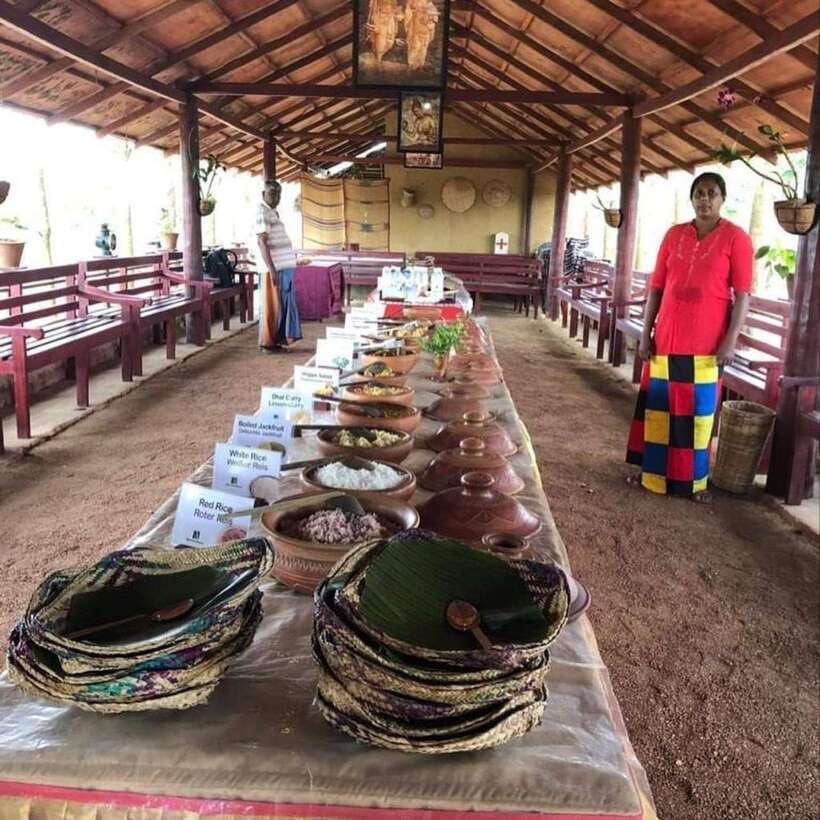 Agro village: guided walking tour and local lunch - Tea plucking and the story of Ceylon tea